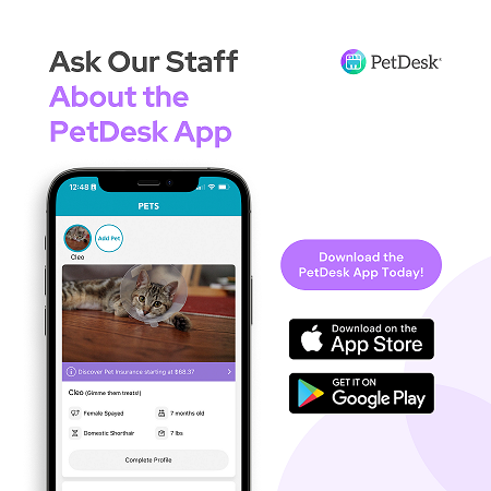 Pet Desk App